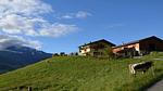 Untagged - Ferienhaus für 3 Personen (45 m²) in Bischofshofen - Top-Hundeurlaub