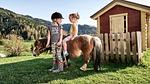 Untagged - Ferienhaus für 3 Personen (45 m²) in Bischofshofen - Top-Hundeurlaub