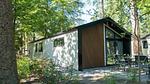 Untagged - Ferienhaus für 4 Personen (65 m²) in Maarn - Top-Hundeurlaub