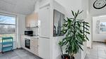 kitchen - Ferienhaus für 8 Personen (189 m²) - Top-Hundeurlaub