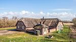 Outdoor - Ferienhaus für 19 Personen (250 m²) in Ulfborg - Top-Hundeurlaub