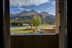 Balkon - 1-Zimmerwohnung 103 Typ BB - Top-Hundeurlaub