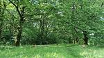 Untagged - Ferienhaus für 7 Personen (78 m²) in Hovborg - Top-Hundeurlaub