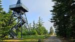 Untagged - Ferienhaus für 7 Personen (78 m²) in Hovborg - Top-Hundeurlaub