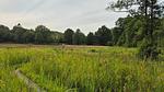 Untagged - Ferienhaus für 7 Personen (78 m²) in Hovborg - Top-Hundeurlaub