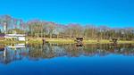 WaterView - Ferienhaus für 7 Personen (78 m²) in Hovborg - Top-Hundeurlaub
