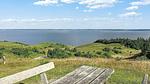 Outdoor - Ferienhaus für 7 Personen (164 m²) in Nykøbing Mors - Top-Hundeurlaub