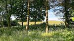 Outdoor - Ferienhaus für 7 Personen (164 m²) in Nykøbing Mors - Top-Hundeurlaub