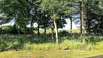 Outdoor - Ferienhaus für 7 Personen (164 m²) in Nykøbing Mors - Top-Hundeurlaub