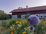 Landhaus Au im Wald - Wohnung 1 - Top-Hundeurlaub