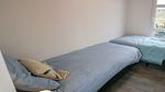 Untagged - Ferienhaus für 4 Personen (65 m²) in Olburgen - Top-Hundeurlaub