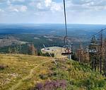Harzkind - Top-Hundeurlaub