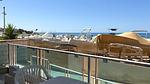 view-from-room - Ferienhaus für 4 Personen (60 m²) in Caucana-Finaiti-Casuzze-Finaiti N. - Top-Hundeurlaub