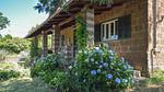 outside - Ferienhaus für 20 Personen (220 m²) in Corchiano - Top-Hundeurlaub