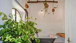 bathroom - Ferienhaus für 2 Personen (35 m²) in Barga - Top-Hundeurlaub