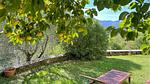 outside - Ferienhaus für 2 Personen (35 m²) in Barga - Top-Hundeurlaub