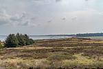 Traumblick - Top-Hundeurlaub