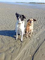 Wohnung 9 - Top-Hundeurlaub