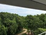 Gartenblick - Küstenglück Sierksdorf - Top-Hundeurlaub