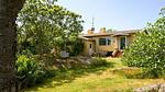 Outdoor - Ferienhaus für 6 Personen (43 m²) in Allinge - Top-Hundeurlaub
