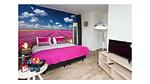 Untagged - Ferienhaus für 2 Personen (40 m²) in Velsen-Zuid - Top-Hundeurlaub