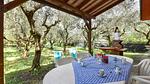 outside - Ferienhaus für 4 Personen (65 m²) in Camaiore - Top-Hundeurlaub