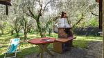 outside - Ferienhaus für 4 Personen (65 m²) in Camaiore - Top-Hundeurlaub