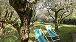 outside - Ferienhaus für 4 Personen (65 m²) in Camaiore - Top-Hundeurlaub