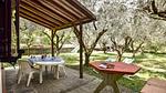 outside - Ferienhaus für 4 Personen (65 m²) in Camaiore - Top-Hundeurlaub