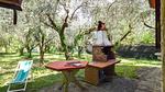 outside - Ferienhaus für 4 Personen (65 m²) in Camaiore - Top-Hundeurlaub