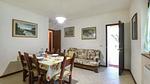 living-room - Ferienhaus für 4 Personen (65 m²) in Camaiore - Top-Hundeurlaub