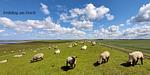 Landschaft - Mira Maris - Top-Hundeurlaub