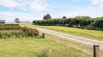 WaterView - Ferienhaus für 11 Personen (127 m²) in Rudkøbing - Top-Hundeurlaub