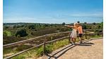 Untagged - Ferienhaus für 4 Personen (65 m²) in Olburgen - Top-Hundeurlaub