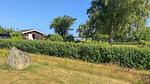 outside - Ferienhaus für 4 Personen (43 m²) in Kirke Hyllinge - Top-Hundeurlaub