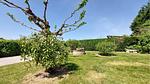 outside - Ferienhaus für 5 Personen (80 m²) in Ginestet - Top-Hundeurlaub