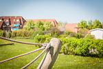 Nachbarschaft - Ferienhaus  Westertill 03 - Top-Hundeurlaub
