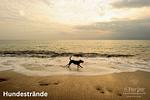 Haus Schultz "Traumblick 3" - Top-Hundeurlaub
