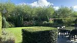 Untagged - Ferienhaus für 6 Personen (85 m²) in Schoorl - Top-Hundeurlaub