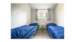 Untagged - Ferienhaus für 4 Personen (65 m²) in Otterlo - Top-Hundeurlaub