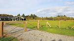 View - Ferienhaus für 9 Personen (140 m²) in Ålbæk - Top-Hundeurlaub