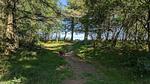 Untagged - Ferienhaus für 5 Personen (82 m²) in Sønder Nissum - Top-Hundeurlaub