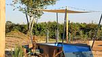 Untagged - Ferienhaus für 2 Personen (40 m²) in Olburgen - Top-Hundeurlaub