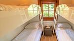 Untagged - Ferienhaus für 6 Personen (65 m²) in Lochem - Top-Hundeurlaub
