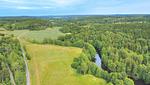 Natur und Wälder bei Värmlands Nysäter in Schweden - Hus Gillberga - Top-Hundeurlaub