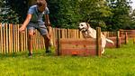 Untagged - Ferienhaus für 4 Personen (65 m²) in Ruinen - Top-Hundeurlaub