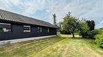 outside - Ferienhaus für 6 Personen (100 m²) in Strøby - Top-Hundeurlaub