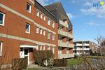 Hauptansicht - Ferienwohnung Toornkieker - Top-Hundeurlaub
