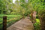 Hotel Bolter Mühle - DZ Weizenkammer - Top-Hundeurlaub