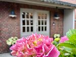 Fassade / Eingang - Eastside - Top-Hundeurlaub